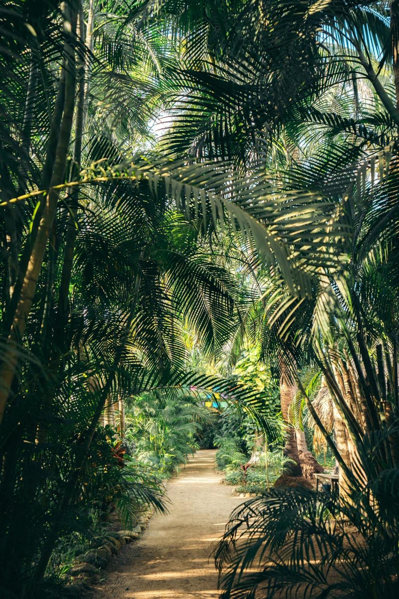Junto Al Rio Bungalows & Suites Sayulita Exterior photo